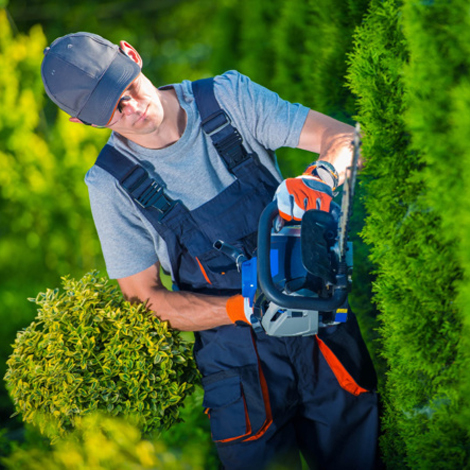 Service de Jardinage